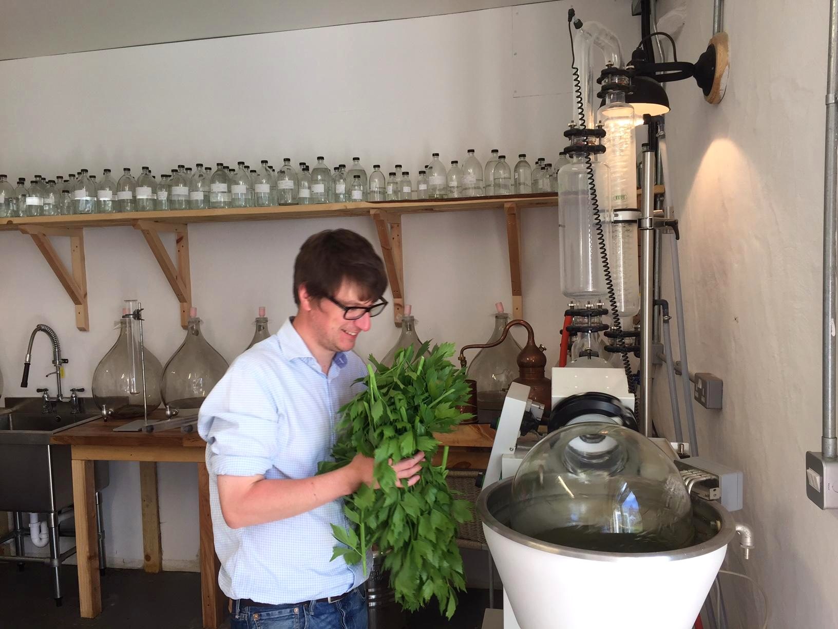 Vacuum distillation glass apparatus with green botanicals