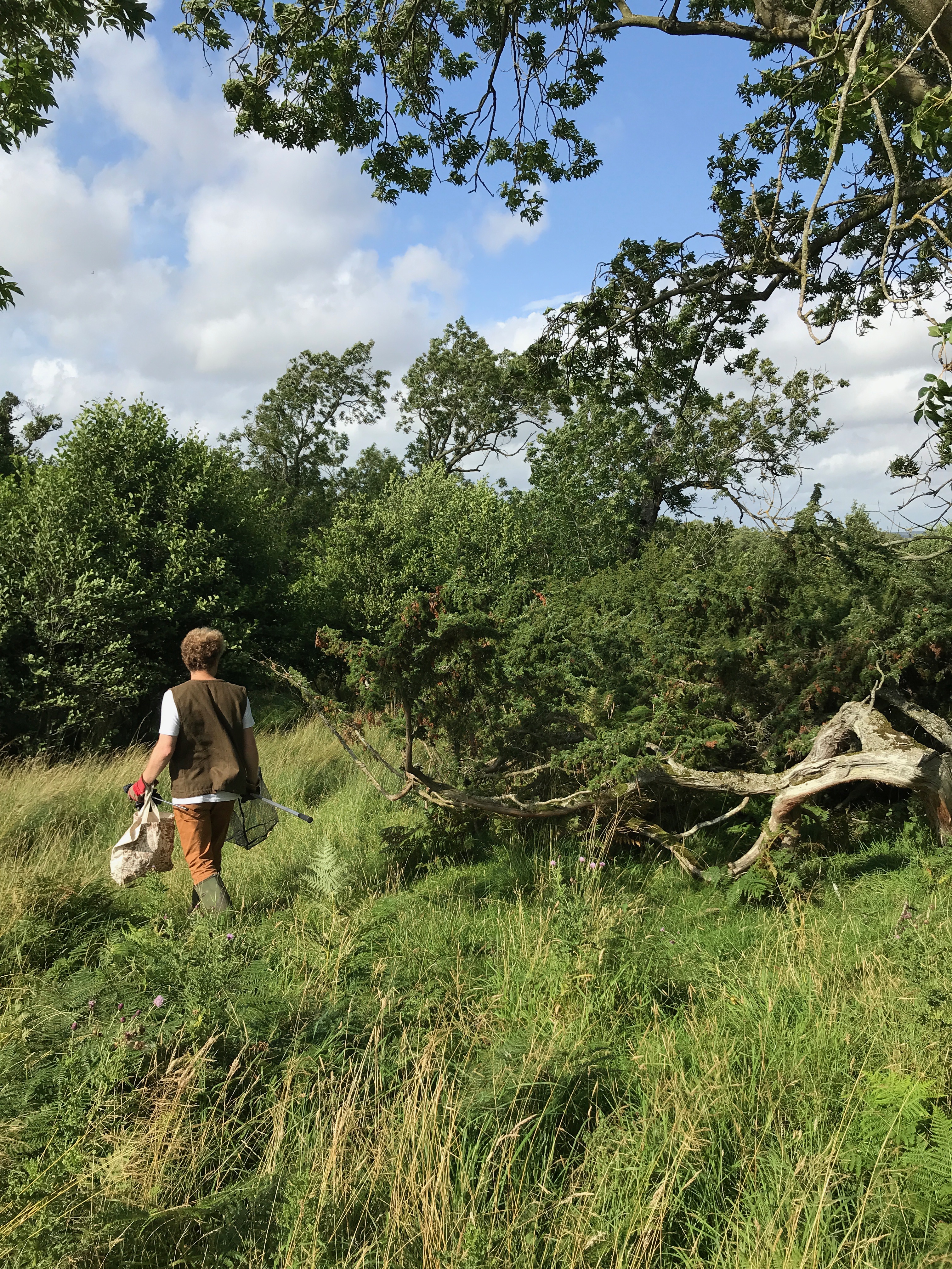 The source of Hepple spirits